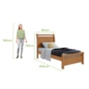 Cama Solteiro Reali Amêndoa Clean Lopas